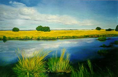1998 (#207)
Oil on canvas 22"x34"
