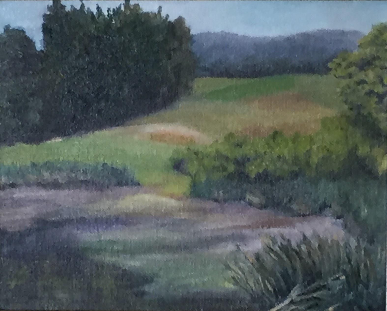 2016 (#238) Oil on Canvas (8" x 10")