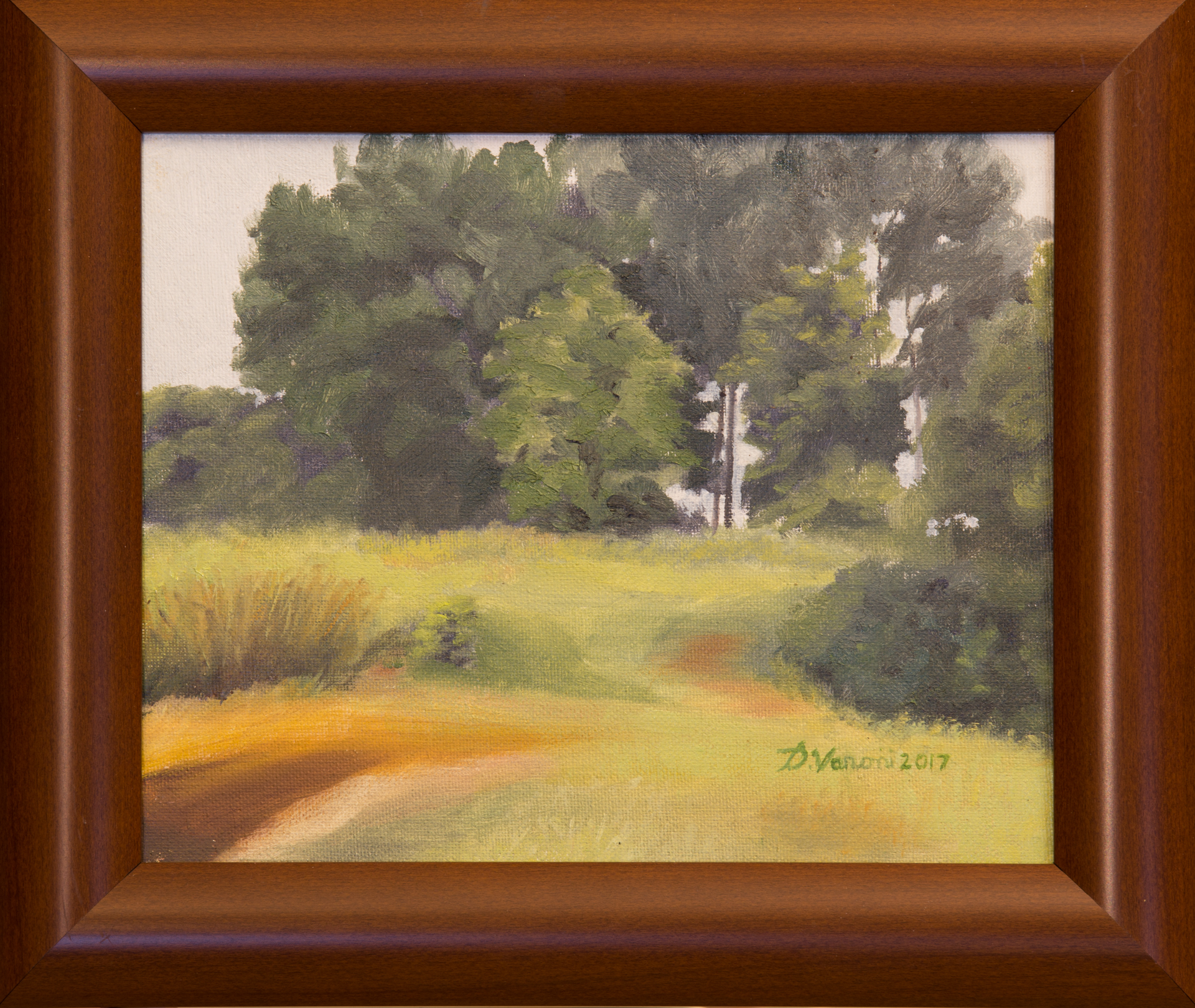 2017 ( #256) 8” x 10” ”(20.3 x 25.4 cm)