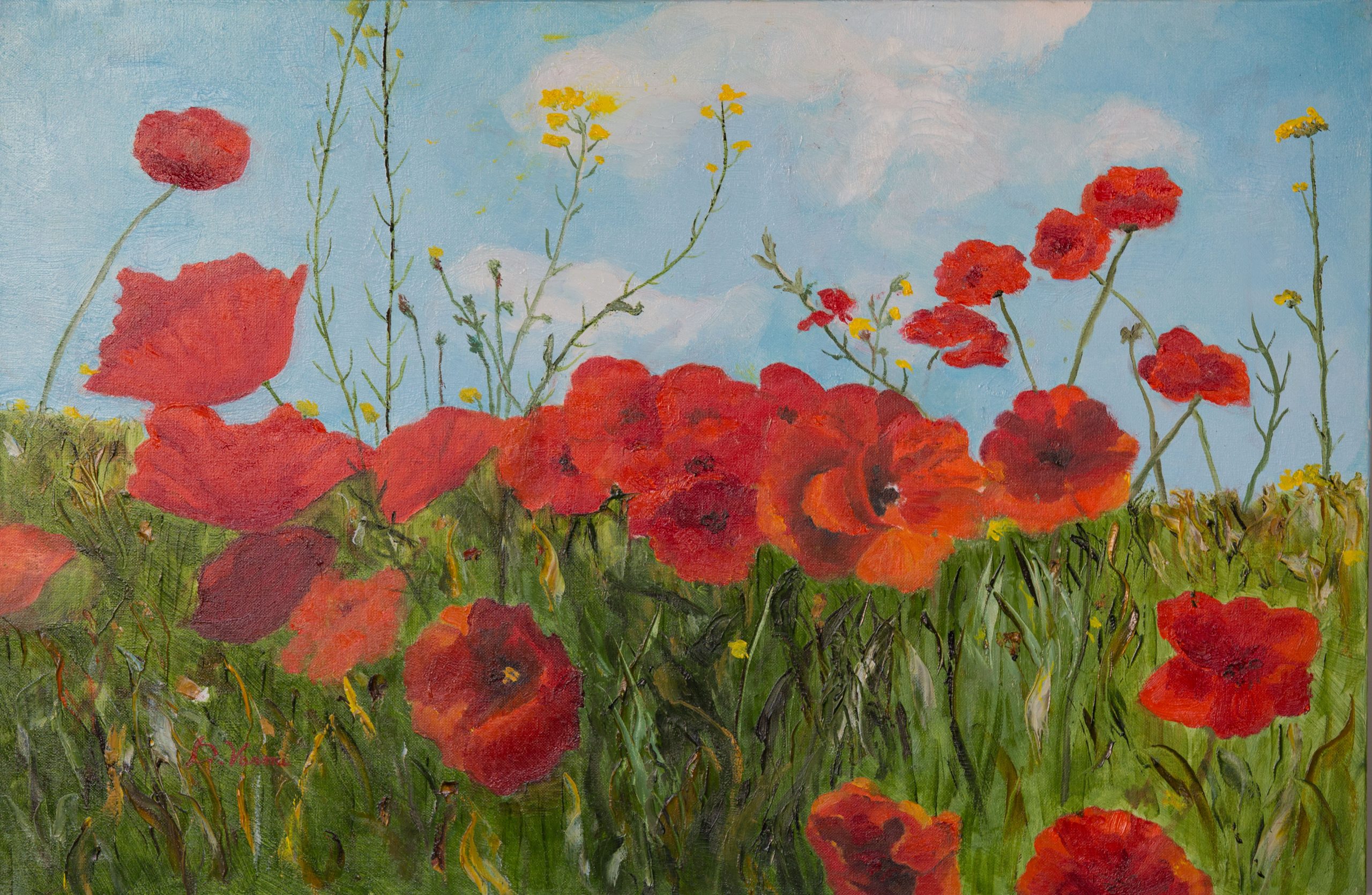 20180708-IMG_0459_low