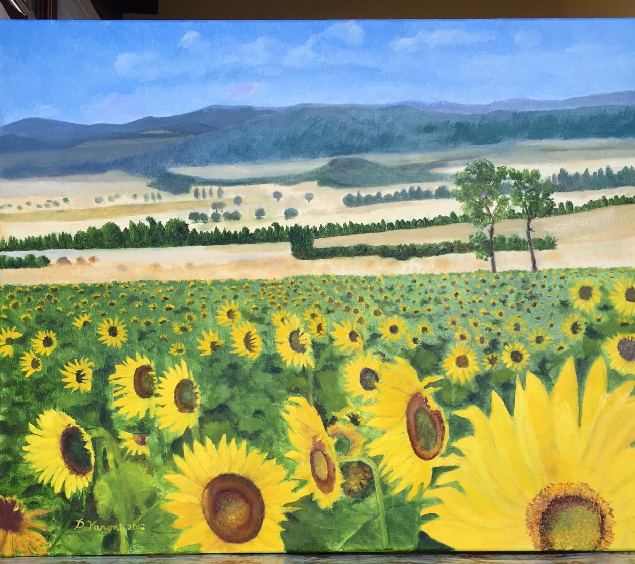 2016 (#273) Oil on canvas ( 60 x 72 cm.)