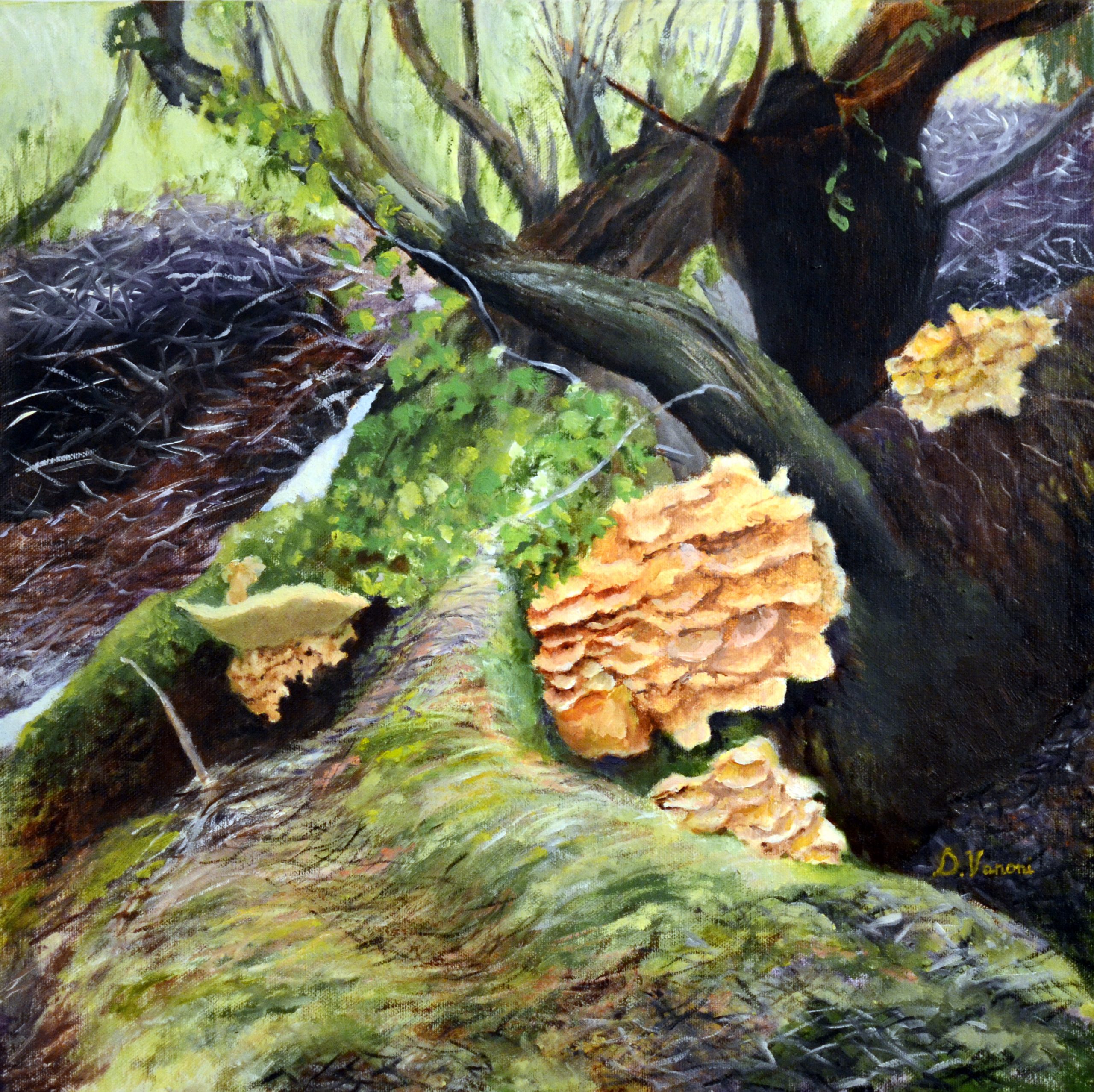 2020 (#xxxx) Oil on Canvas ( 50 x 50 Cm.)