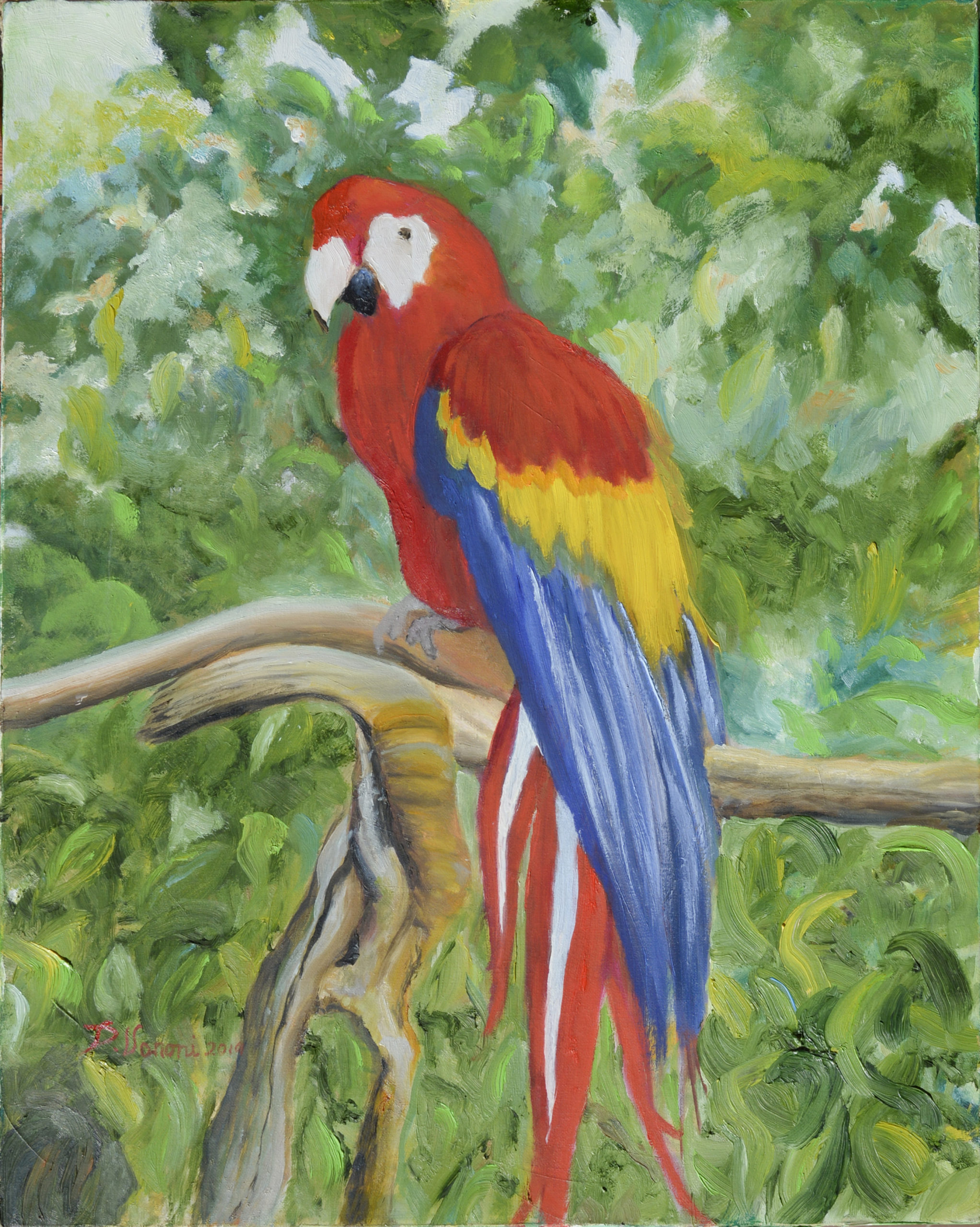 2019 (#603) Oil on Canvas (cm. 40 x 50)