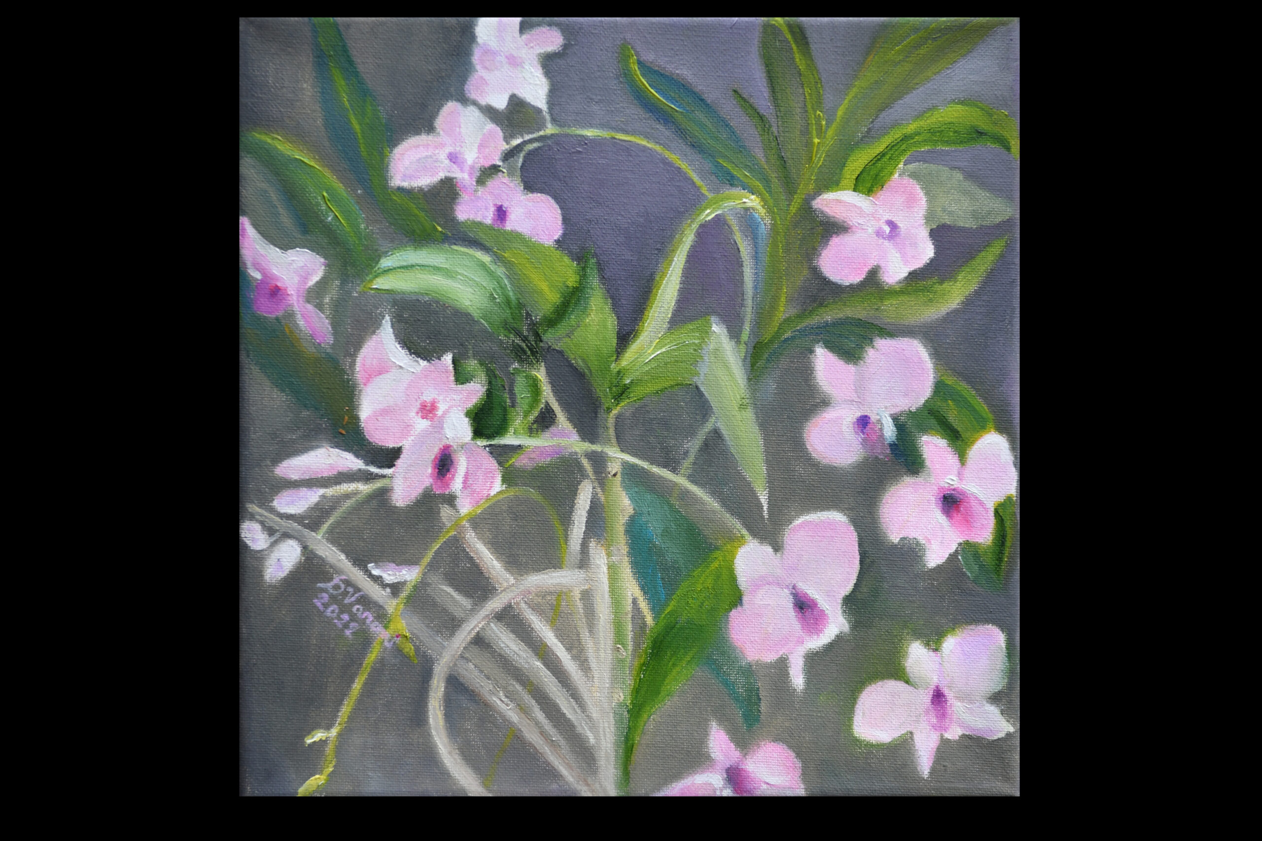 2022 (#188) Oil on Canvas Cm. 30 x 30